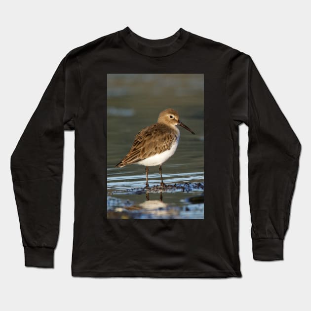 Dunlin Shorebird Long Sleeve T-Shirt by SHWILDLIFE